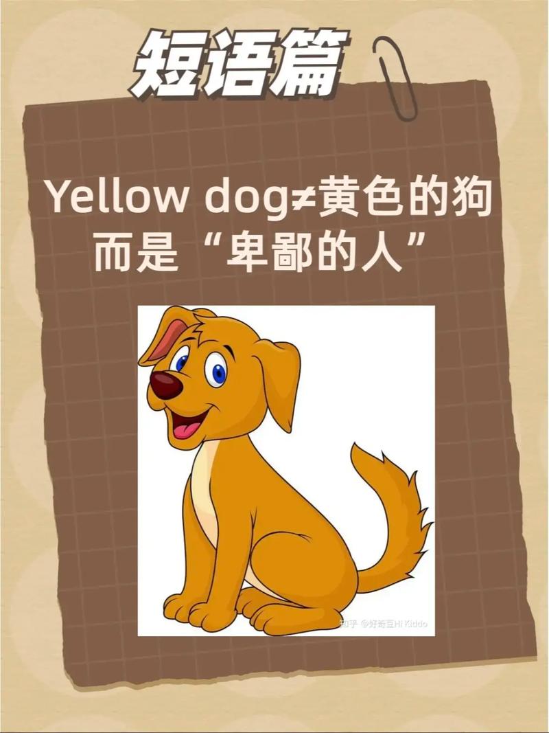 动物收容所小游戏-动物收容电话