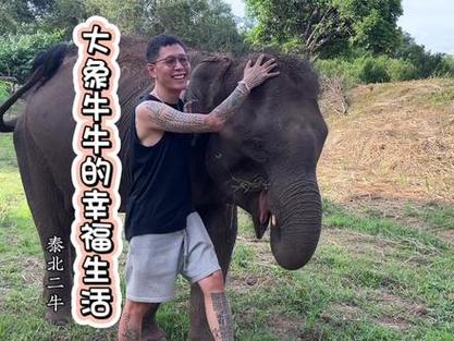 抖音小游戏清迈/抖音小游戏青少年-第4张图片 抖音小游戏清迈/抖音小游戏青少年-第4张图片