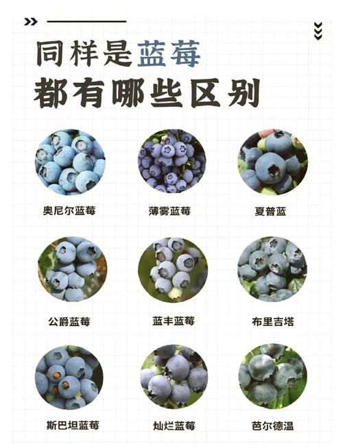 关于“抖音小游戏趣味挑战攻略”你不知道的事-第7张图片 关于“抖音小游戏趣味挑战攻略”你不知道的事-第7张图片