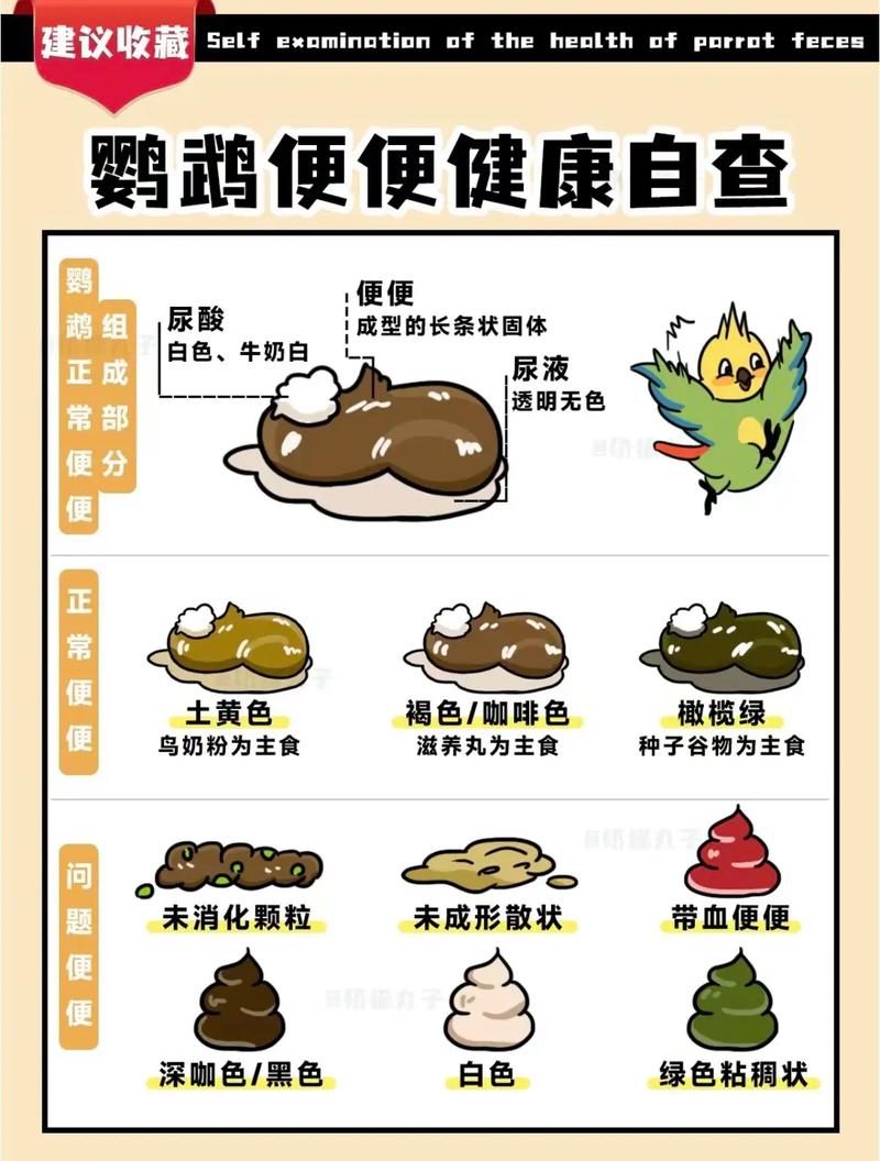 关于“鸟类游戏手游”你不知道的事-第4张图片 关于“鸟类游戏手游”你不知道的事-第4张图片